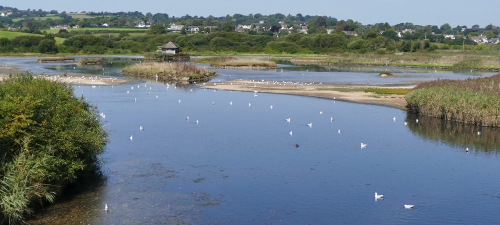 View of Seaton Wetlands