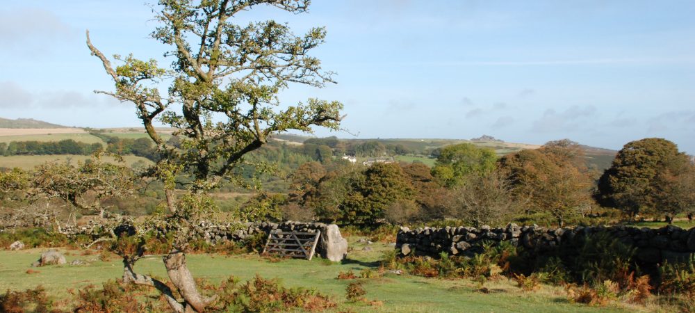 Emsworthy Mire