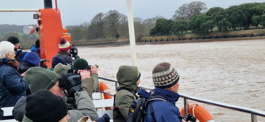 Birders on Exe Estuary boat trip