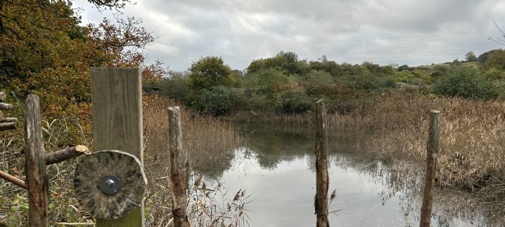 Viewing platform at Hackney Marsh