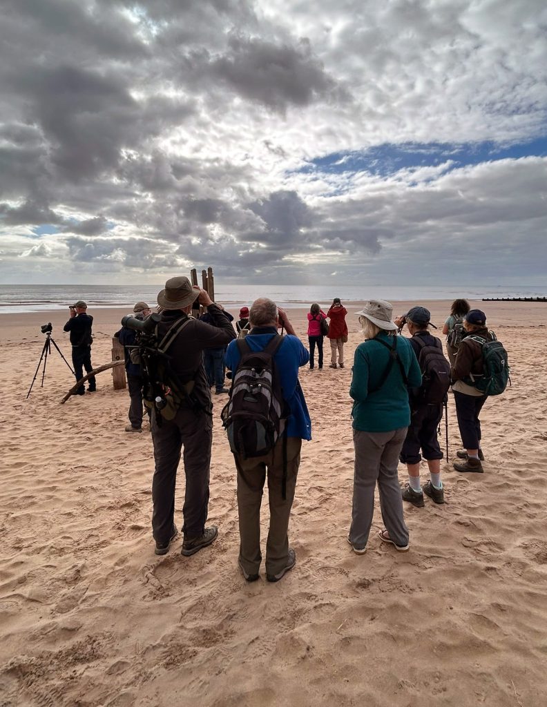 On the beach at Dawlish Warren.