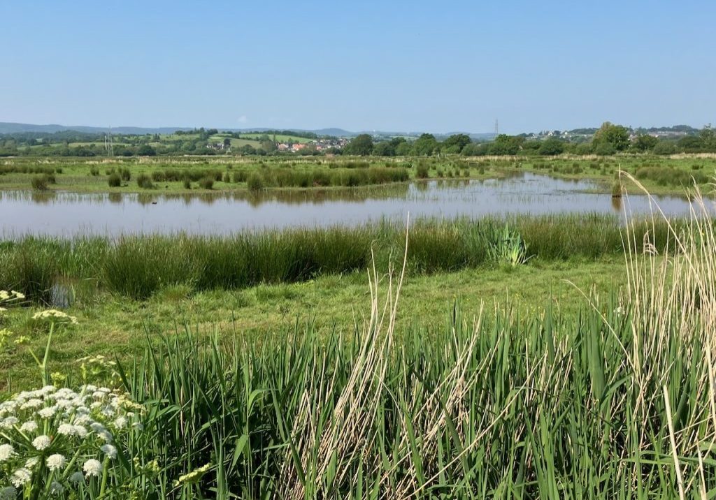 View of Exminster Marshes