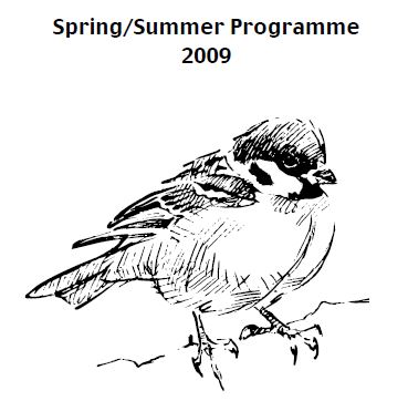 2009 Spring Summer - Sparrow