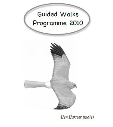 2010-11 Walks - Hen Harrier