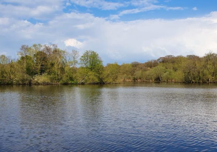 Connaught Water for Local Wild Places. Photo by Marion Bertuzzo