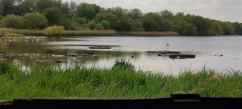 Brent Reservoir NR
