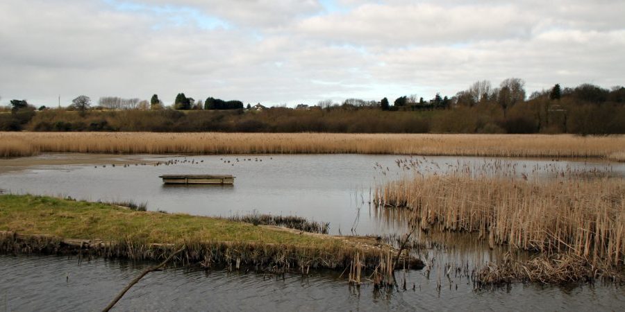 Stodmarsh NNR, Kent
