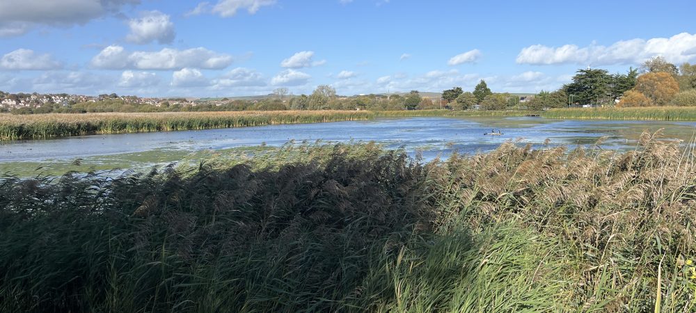 Radipole RSPB 13 Oct 2026