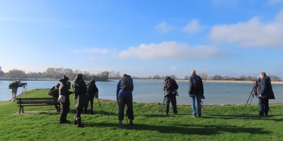 RSPB-St-Albans-at-Wilstone